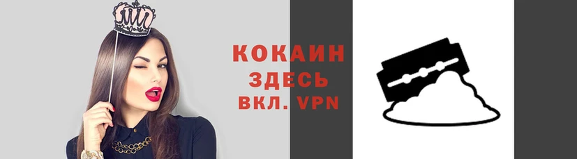 молекула духа Навашино