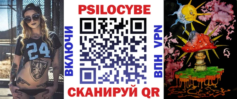 сколько стоит  Ясный  Псилоцибиновые грибы Psilocybine cubensis 