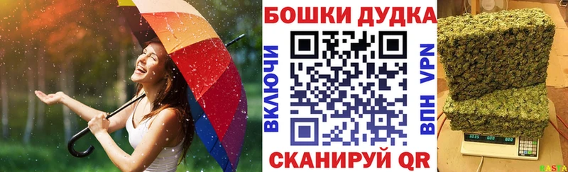 Каннабис индика  Ясный 